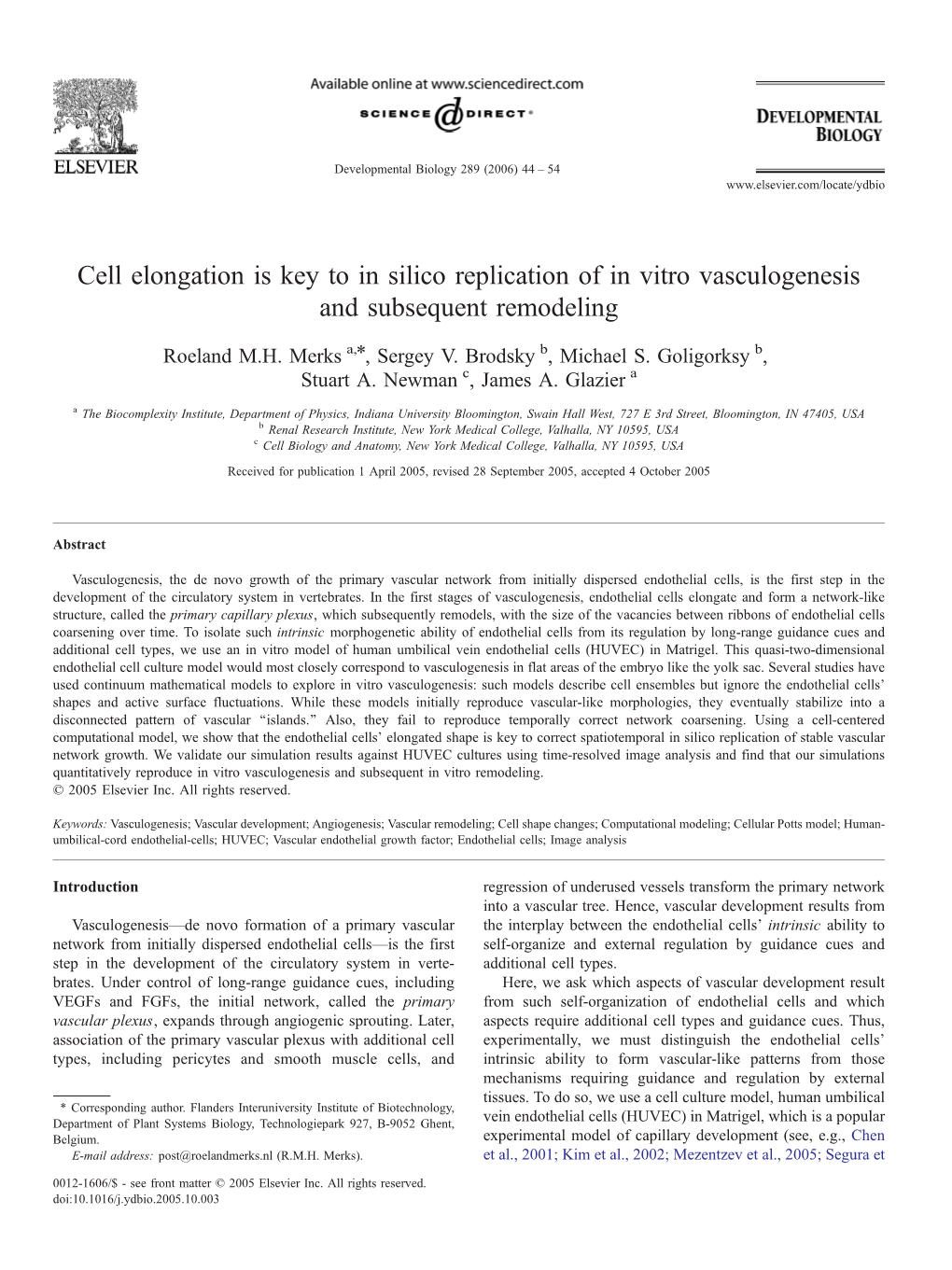 Cell Elongation Is Key to in Silico Replication of in Vitro Vasculogenesis and Subsequent Remodeling