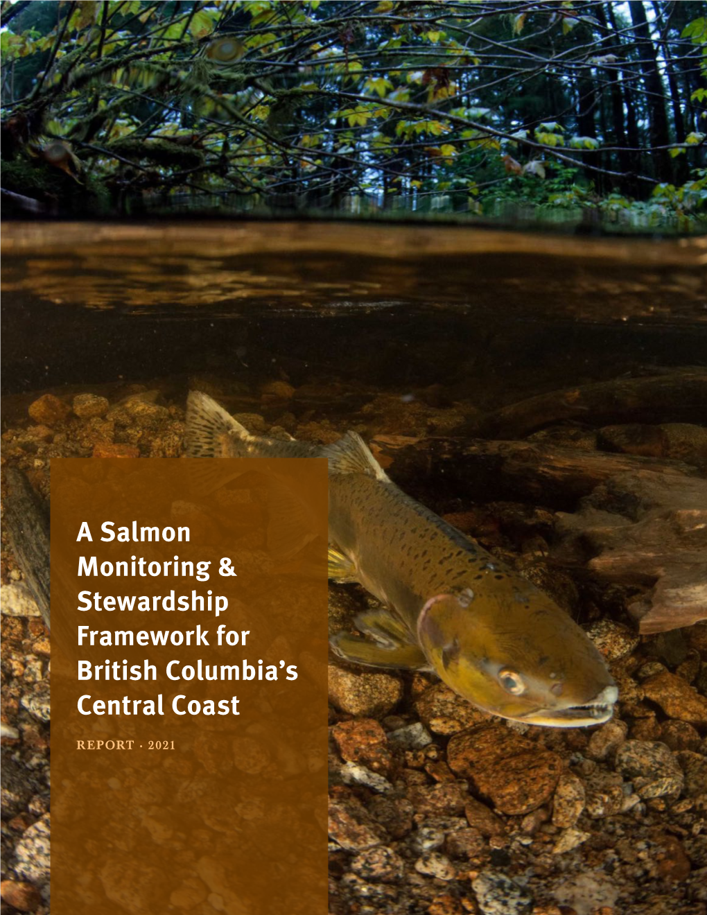 A Salmon Monitoring & Stewardship Framework for British Columbia's Central Coast