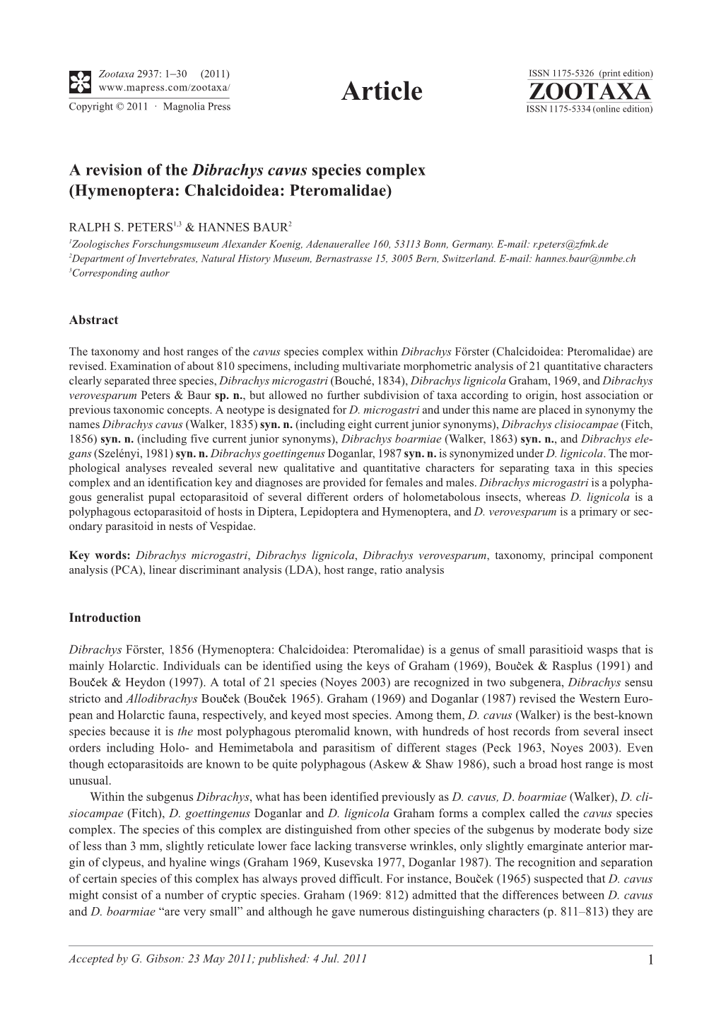 A Revision of the Dibrachys Cavus Species Complex (Hymenoptera: Chalcidoidea: Pteromalidae)