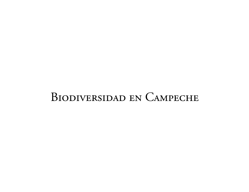 Biodiversidad En Campeche Reino Vegetal