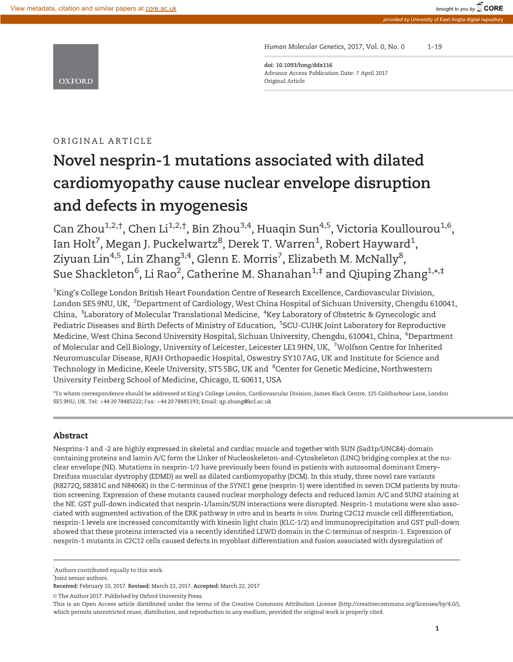 Novel Nesprin-1 Mutations Associated with Dilated