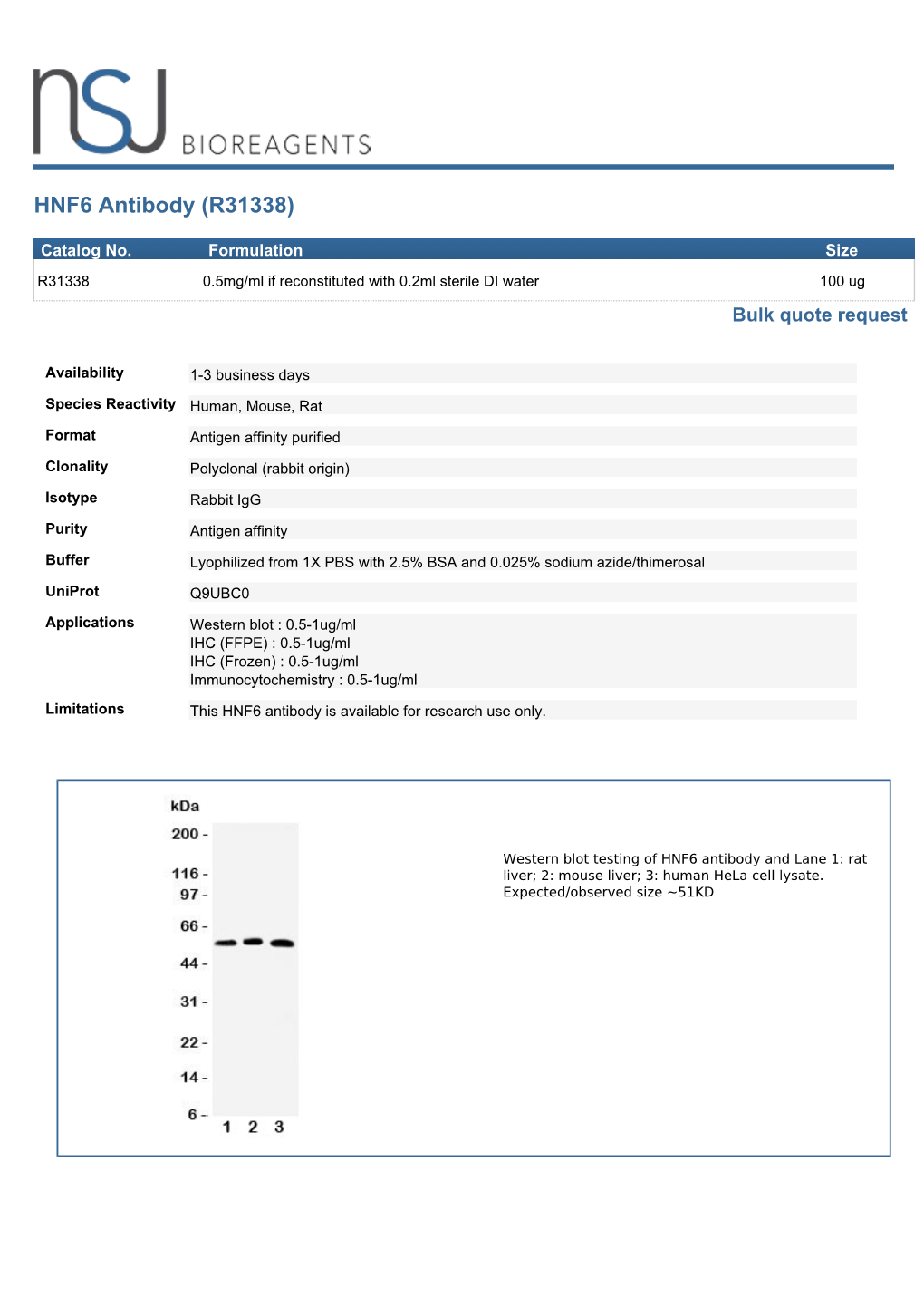 HNF6 Antibody (R31338)