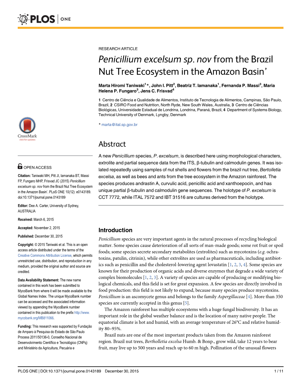 Penicillium Excelsum Sp. Nov from the Brazil Nut Tree Ecosystem in the Amazon Basin’