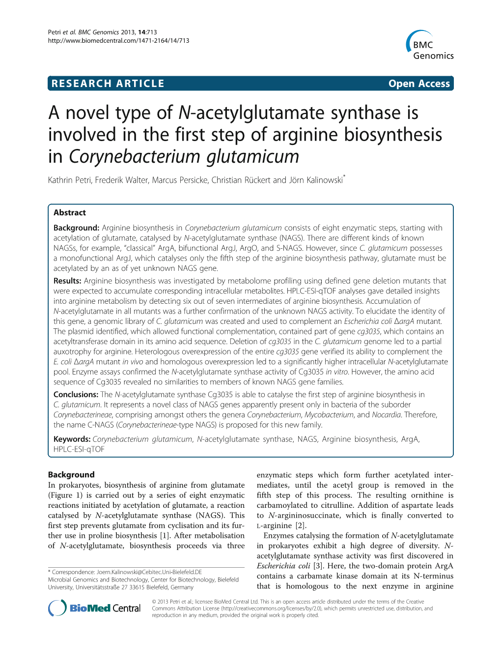 A Novel Type of N-Acetylglutamate Synthase Is Involved in the First Step