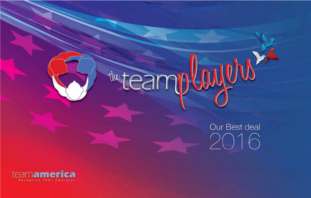 Teamplayers2016.Pdf