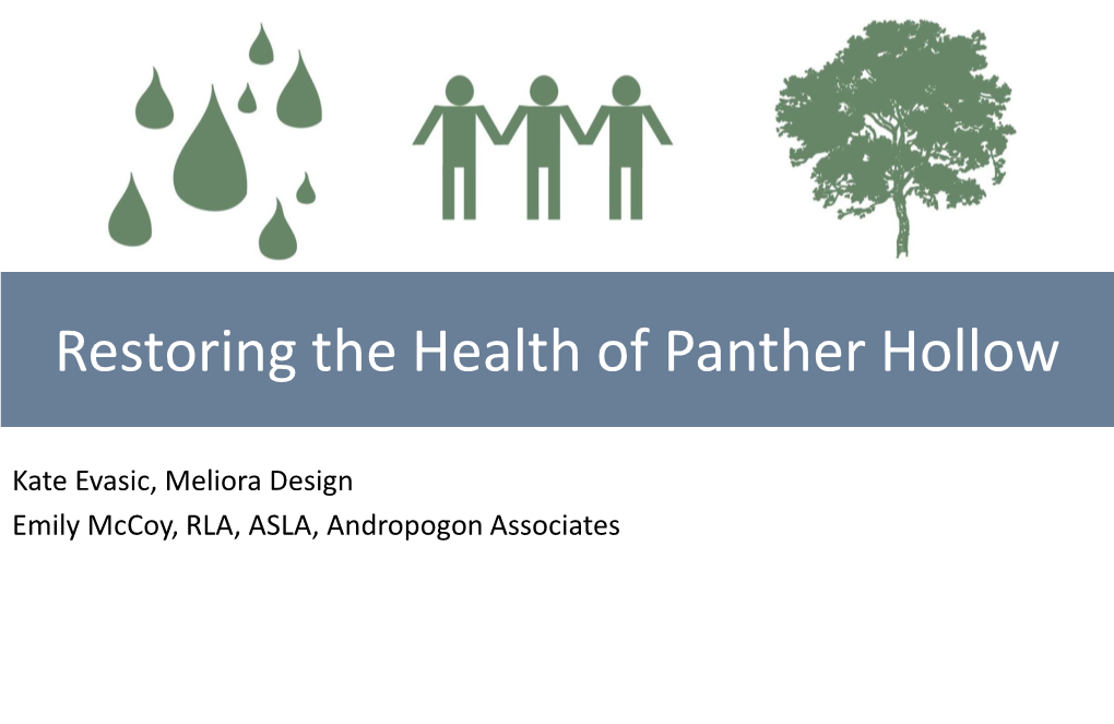 Restoring the Health of Panther Hollow