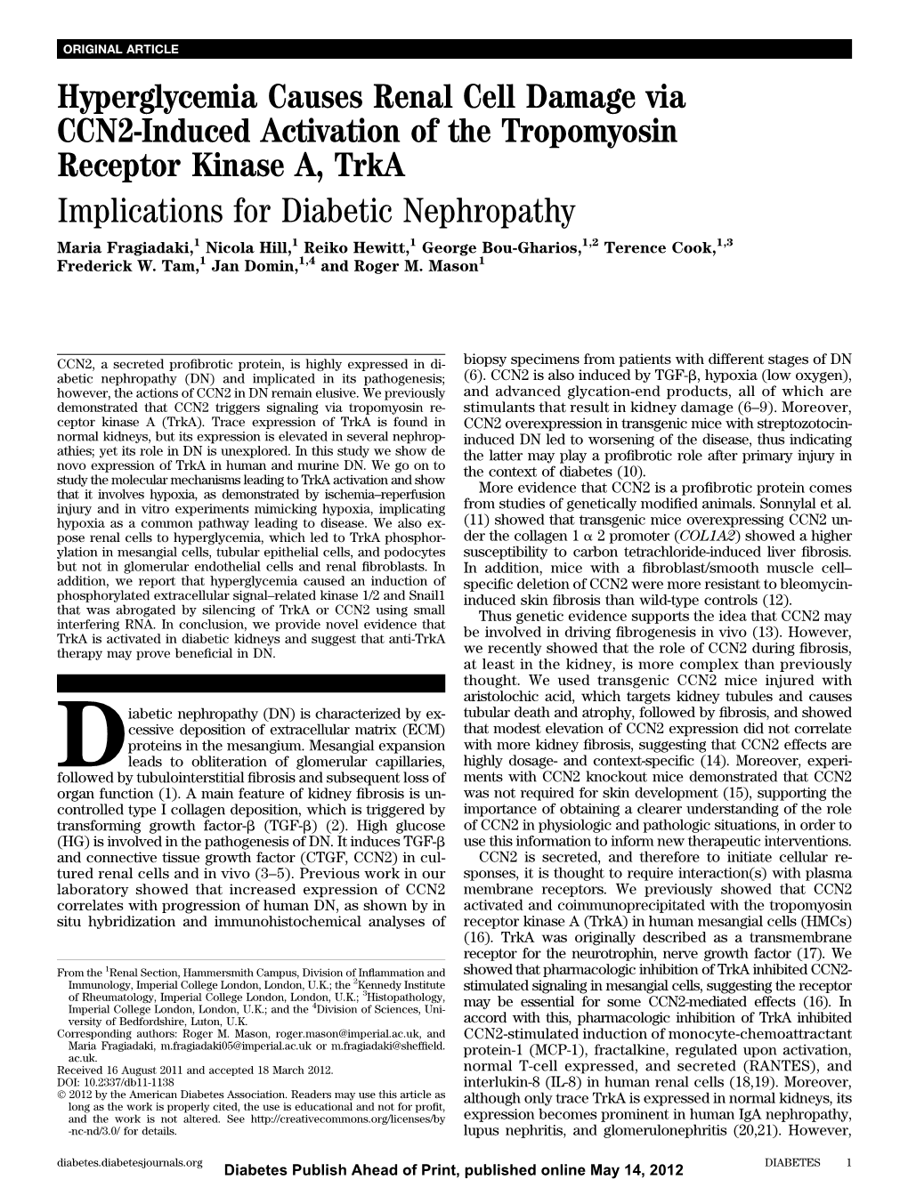 Implications for Diabetic Nephropathy