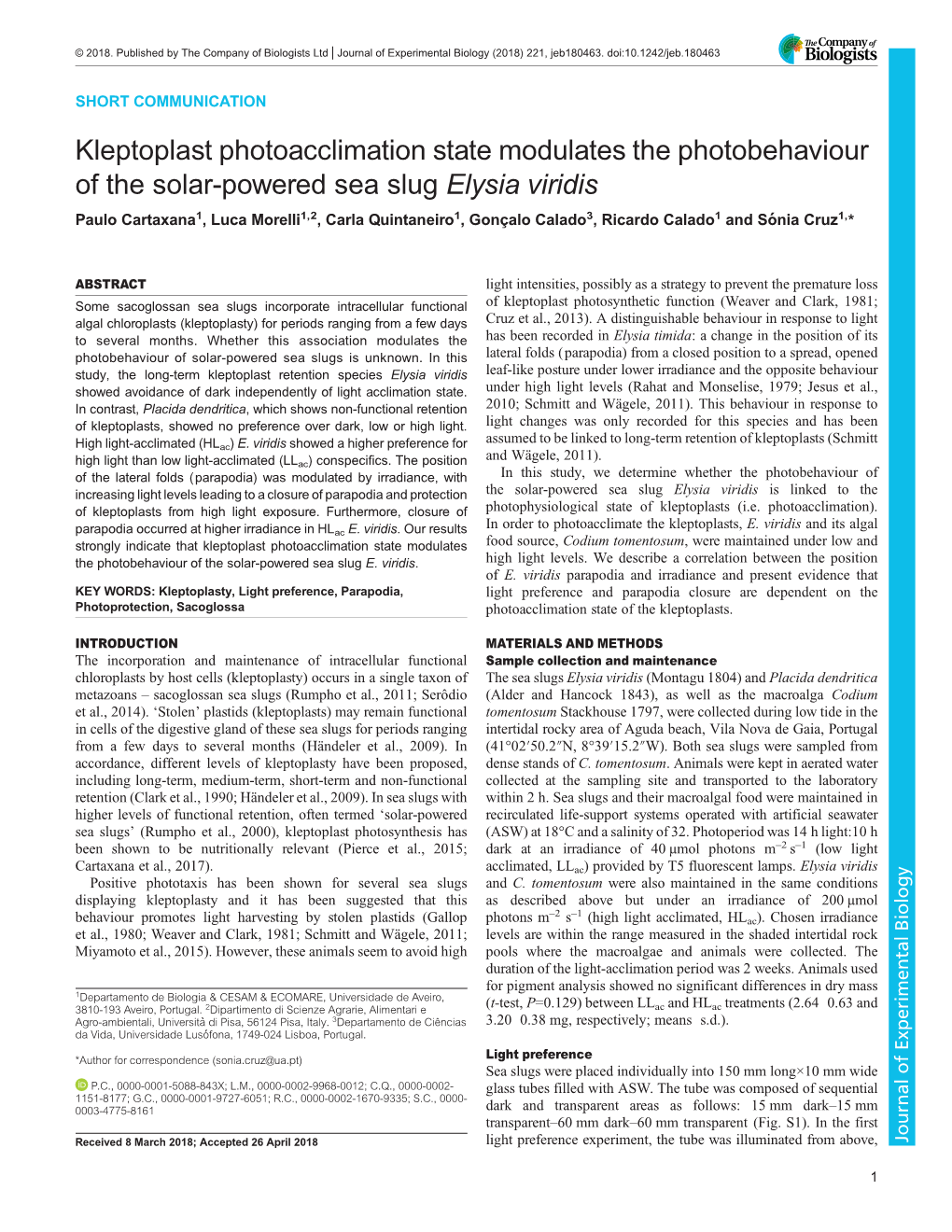 Kleptoplast Photoacclimation State Modulates the Photobehaviour of the Solar-Powered Sea Slug Elysia Viridis