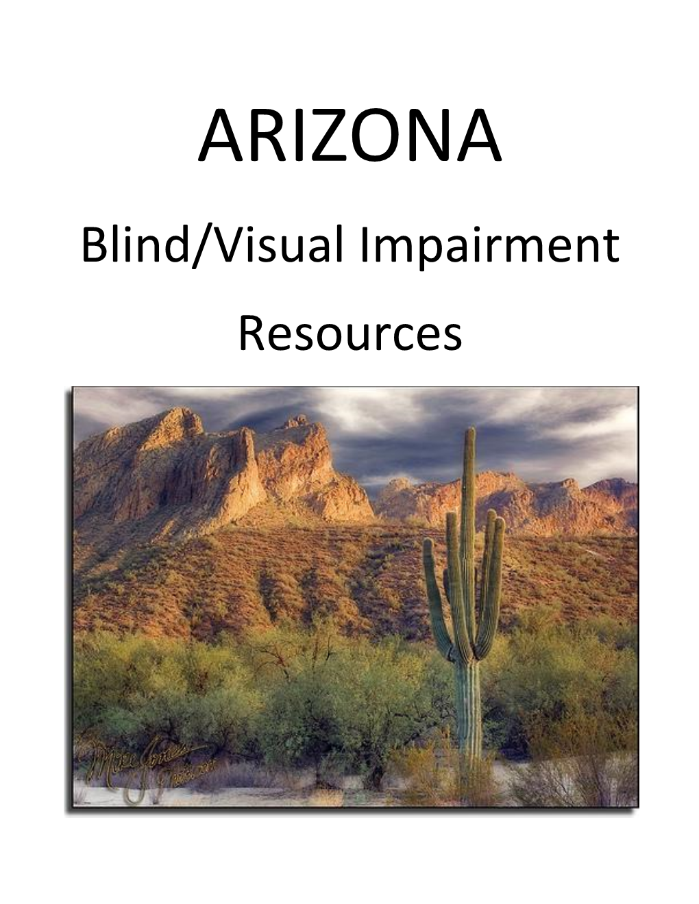 Blind/Visual Impairment Resources