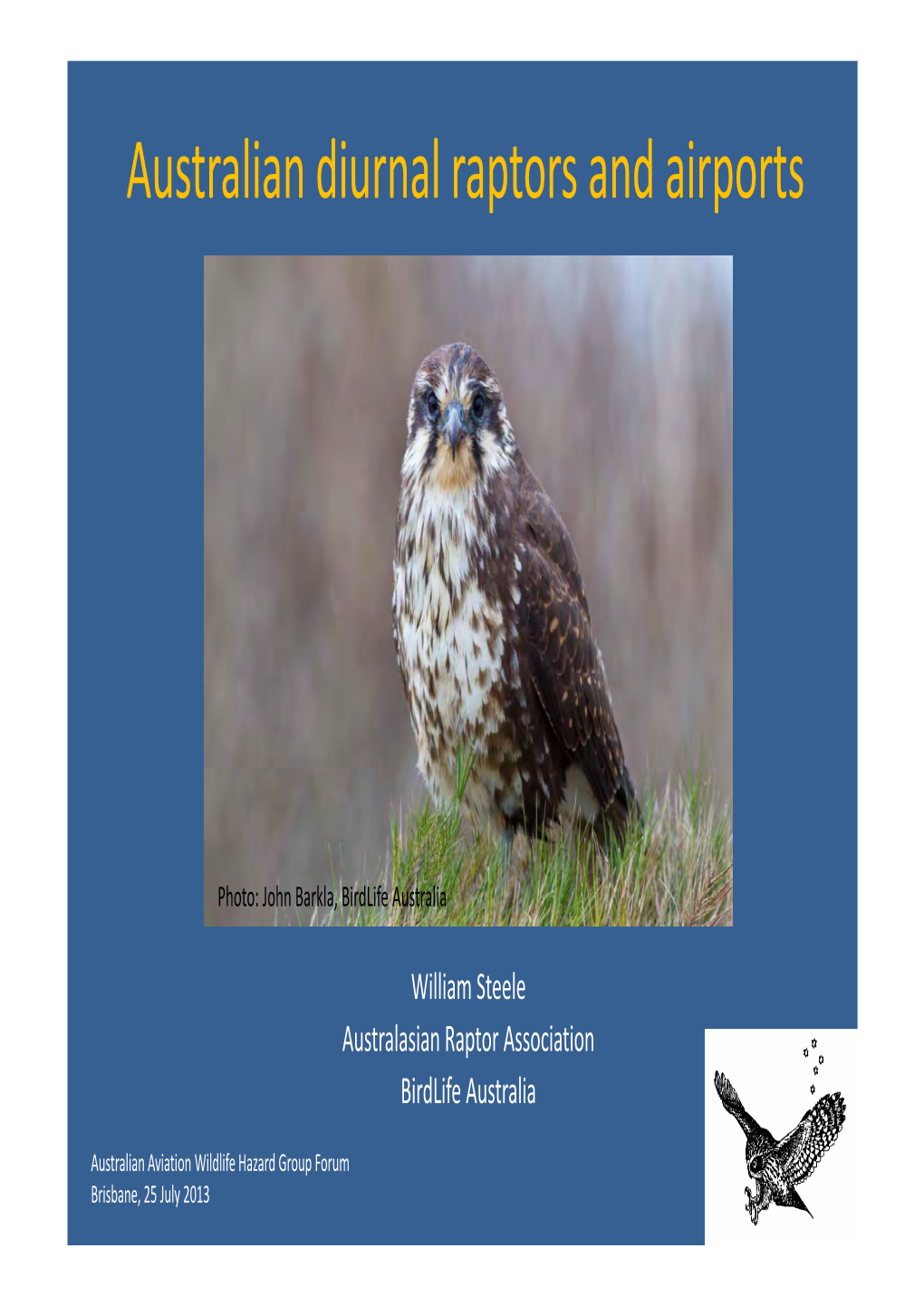 Australian Diurnal Raptors and Airports