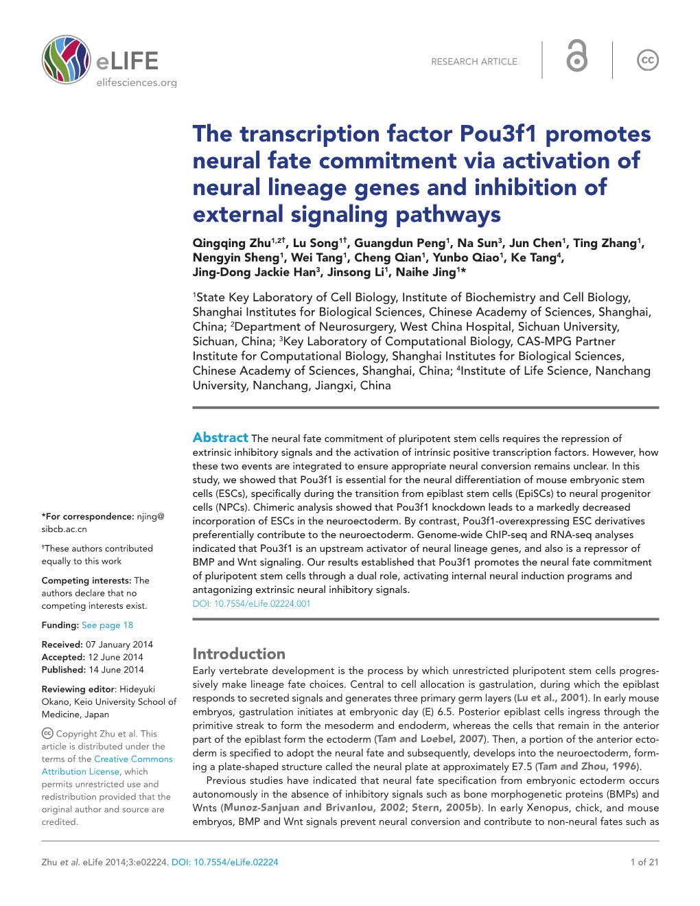 The Transcription Factor Pou3f1 Promotes Neural Fate Commitment