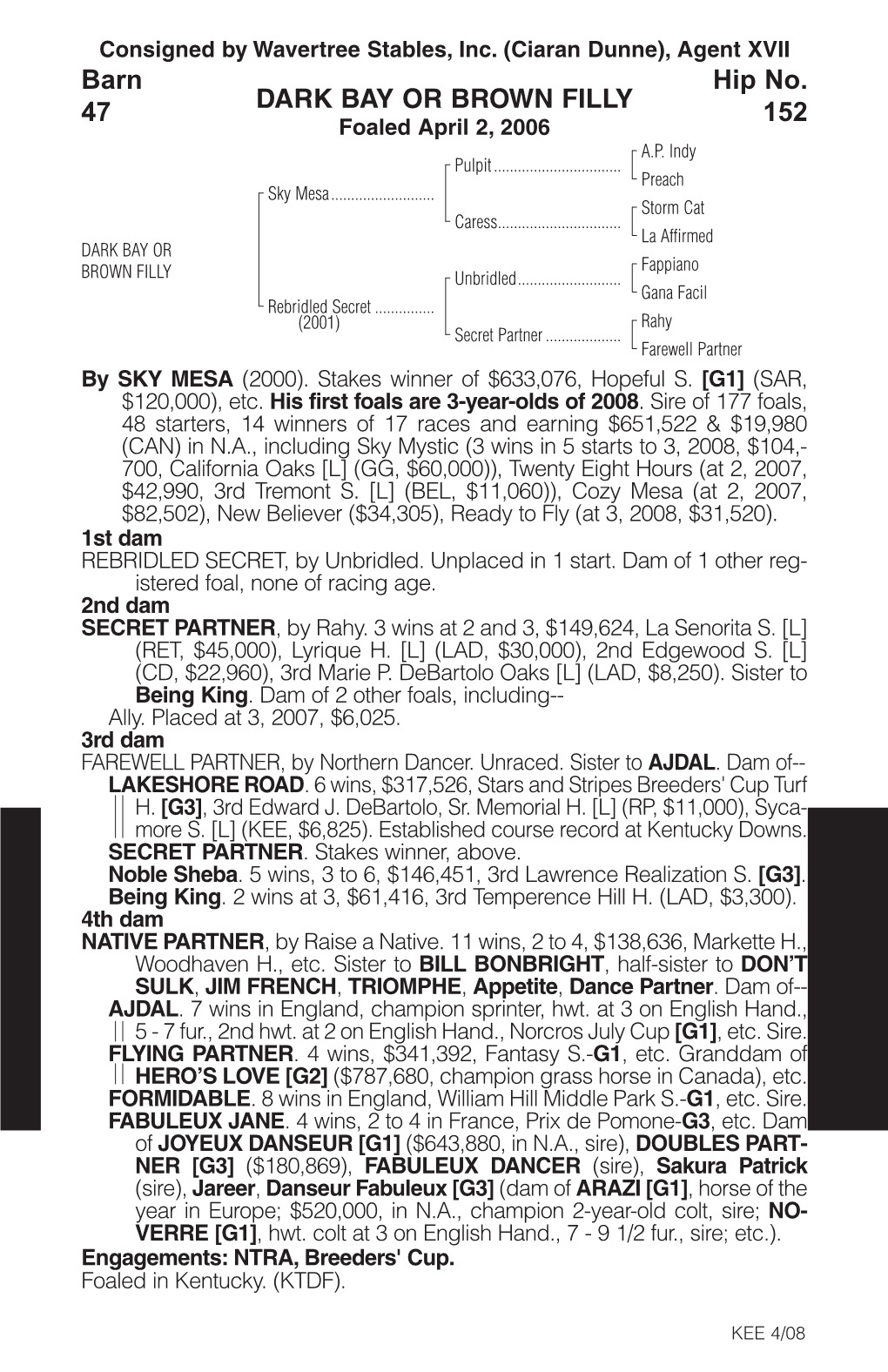 DARK BAY OR BROWN FILLY Barn 47 Hip No