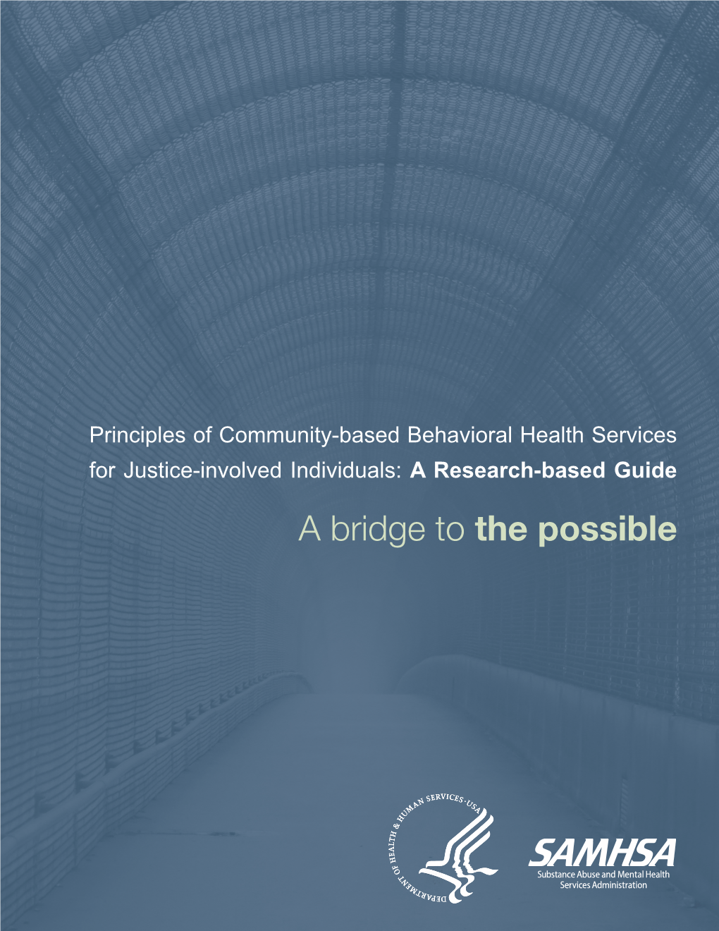 Principles of Community-Based Behavioral Health Services for Justice-Involved Individuals: a Research-Based Guide a Bridge to the Possible