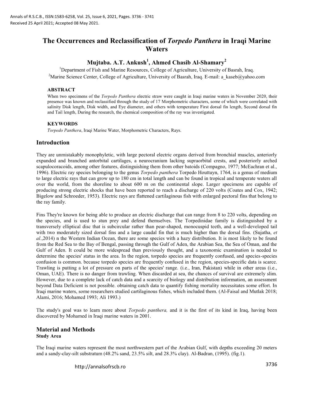 The Occurrences and Reclassification of Torpedo Panthera in Iraqi Marine Waters