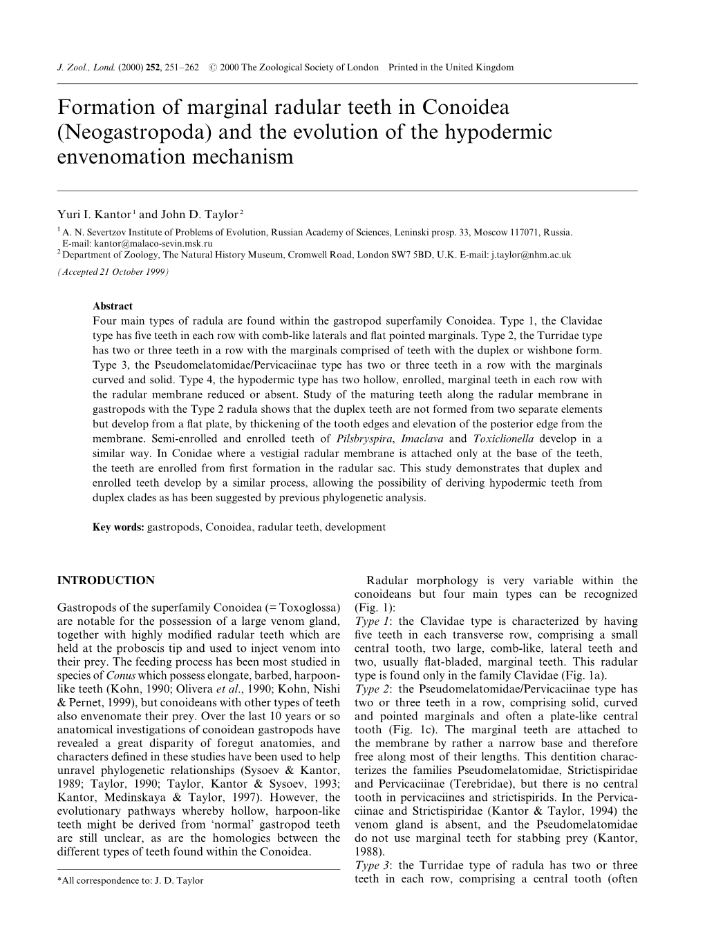 Formation of Marginal Radular Teeth in Conoidea (Neogastropoda) and the Evolution of the Hypodermic Envenomation Mechanism