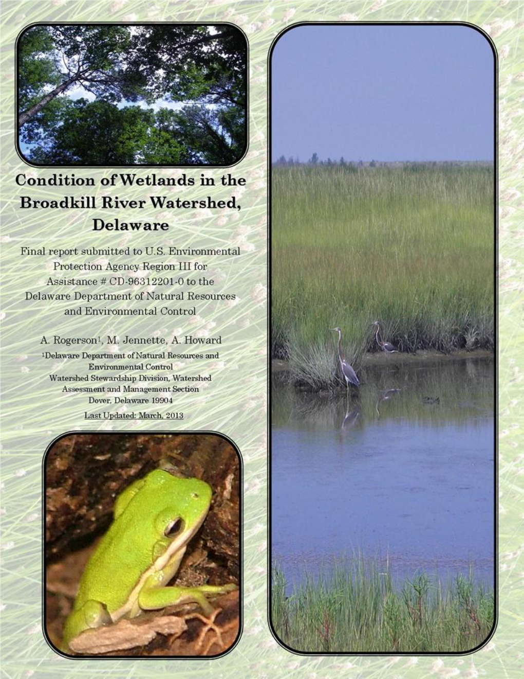 Condition of Wetlands in the Broadkill River Watershed, Delaware