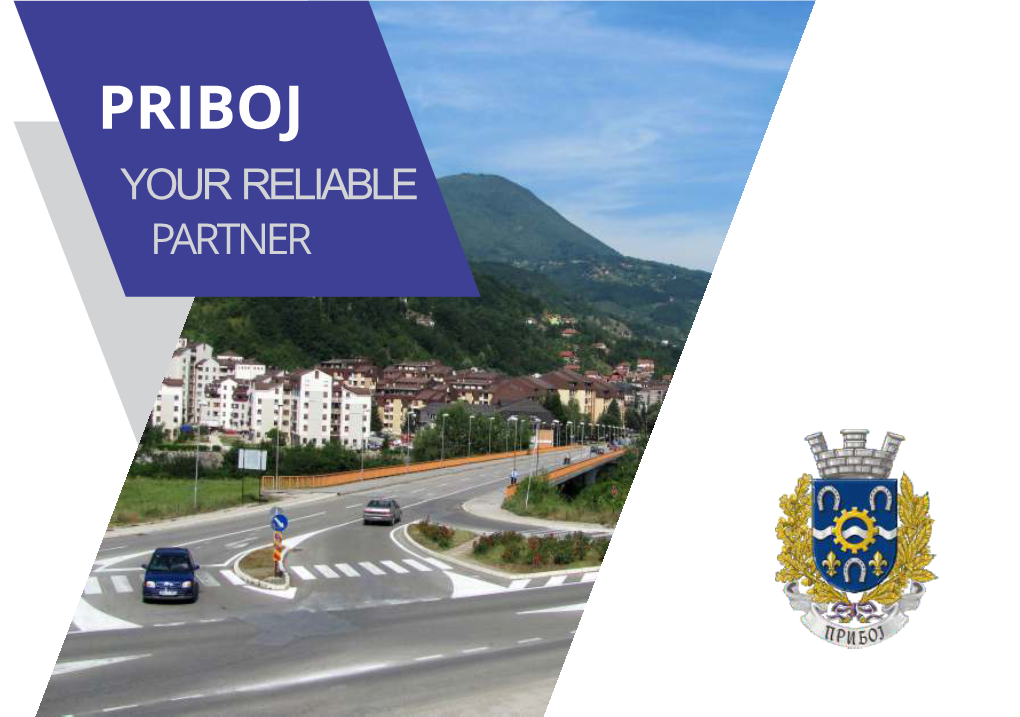 Priboj Your Reliable Partner