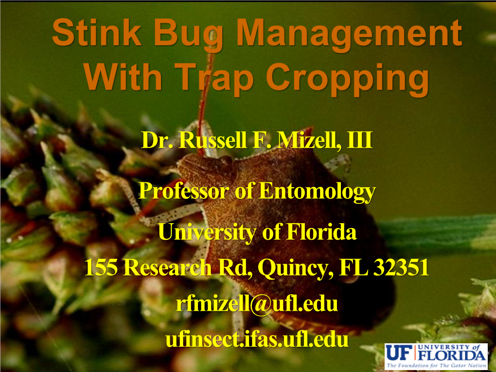 Stink Bug Management with Trap Cropping