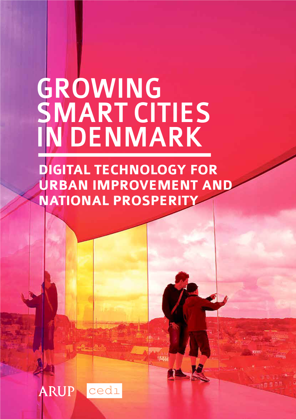 Growing Smart Cities in Denmark