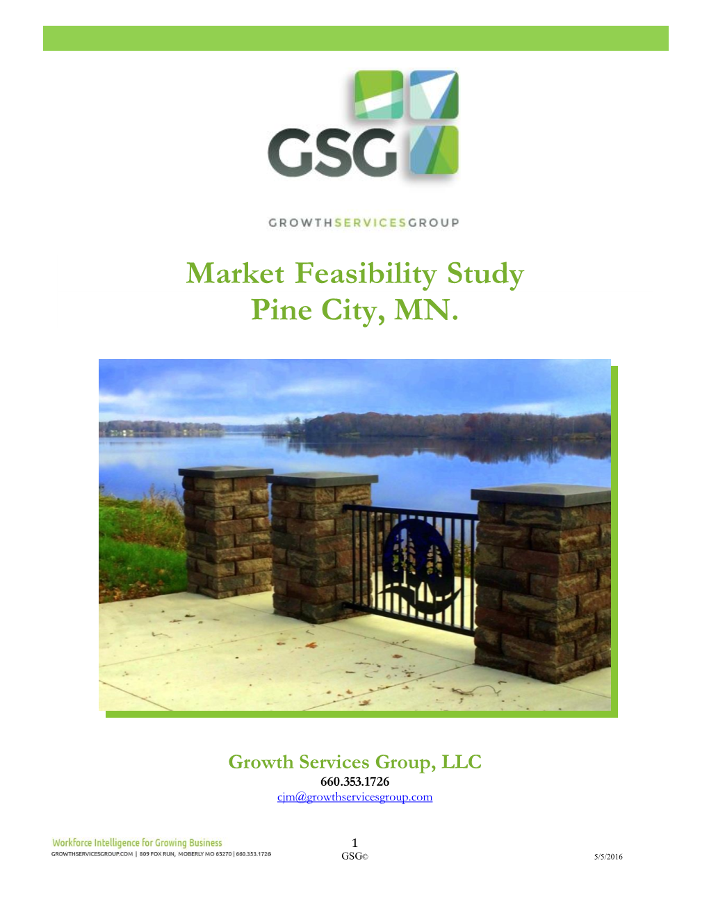 Market Feasibility Study Pine City, MN