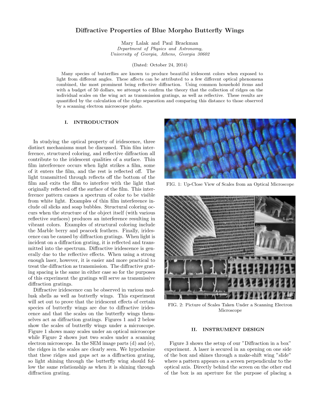 Diffractive Properties of Blue Morpho Butterfly Wings