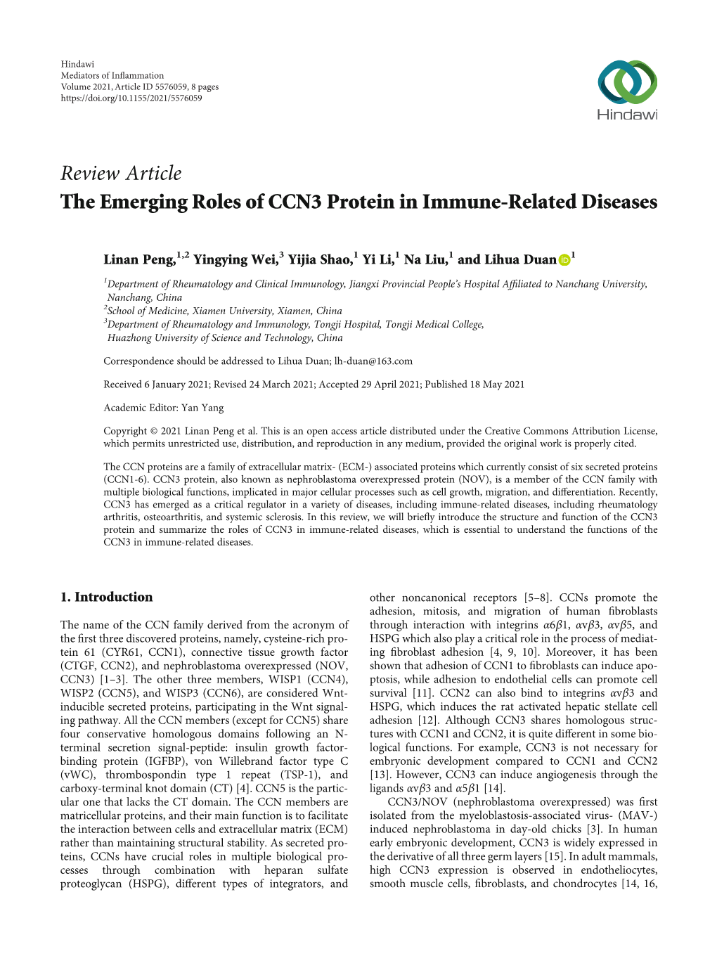 The Emerging Roles of CCN3 Protein in Immune-Related Diseases