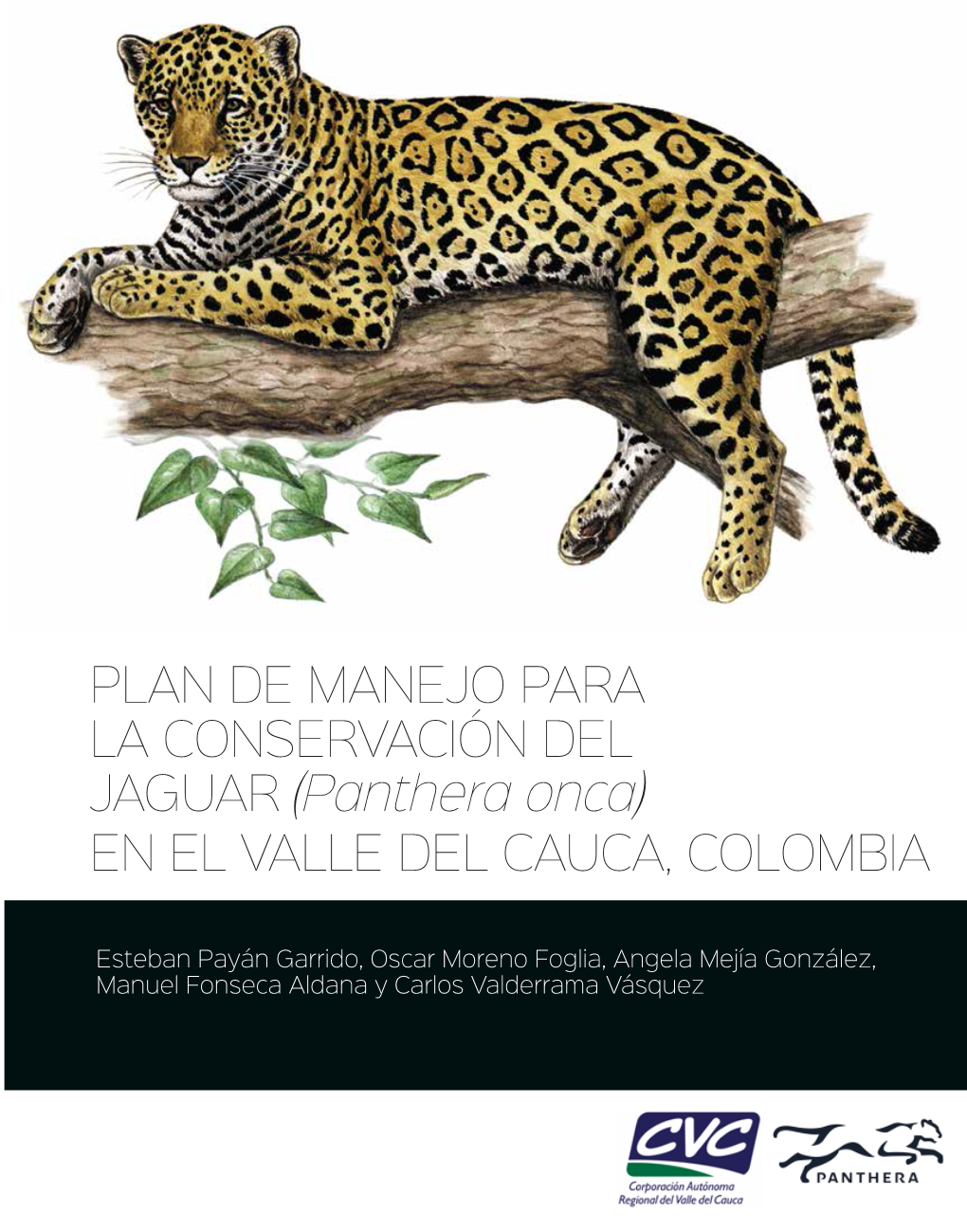 Panthera Onca) EN EL VALLE DEL CAUCA, COLOMBIA