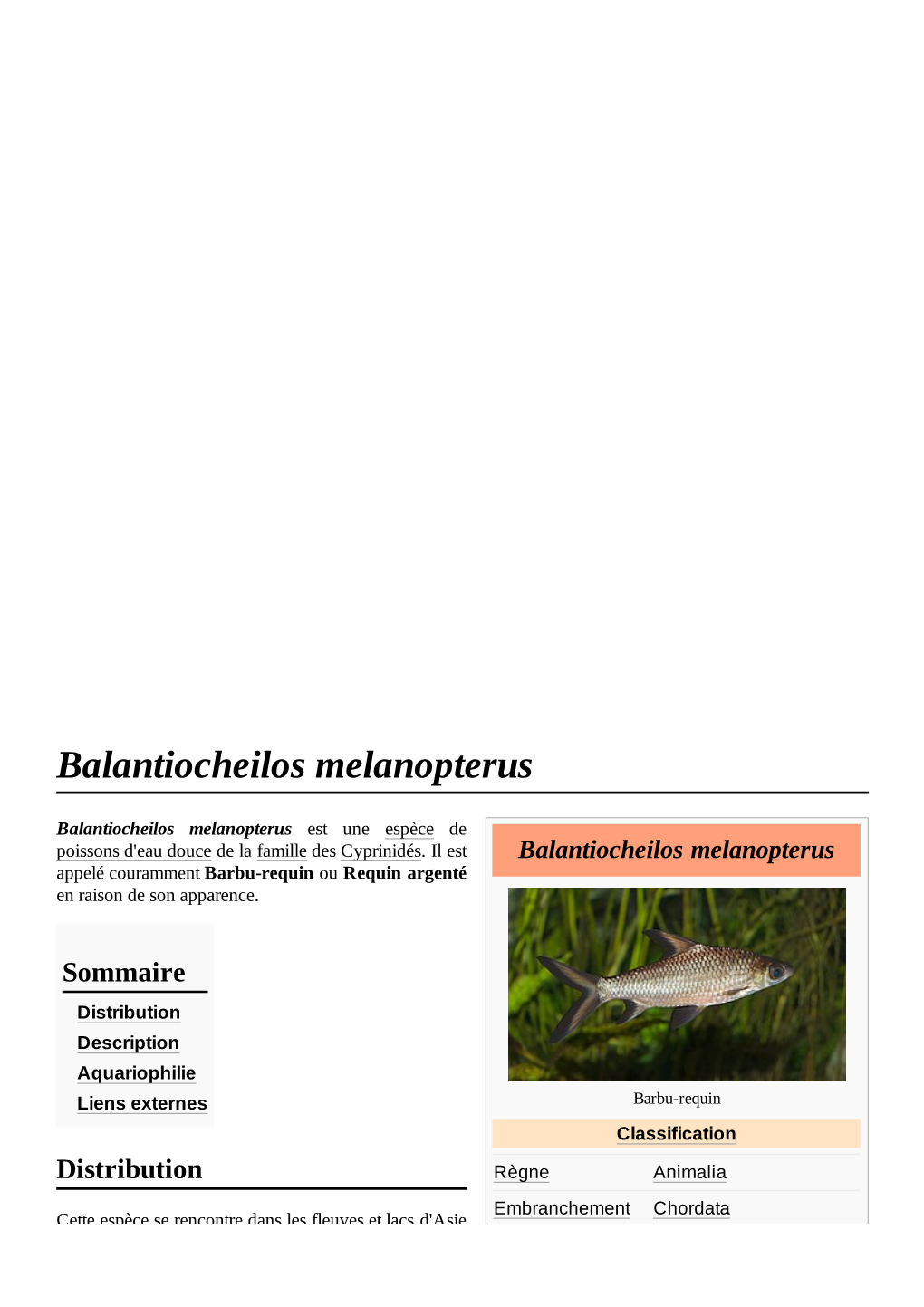 Balantiocheilos Melanopterus