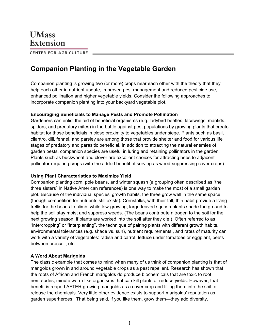 Companion Planting in the Vegetable Garden