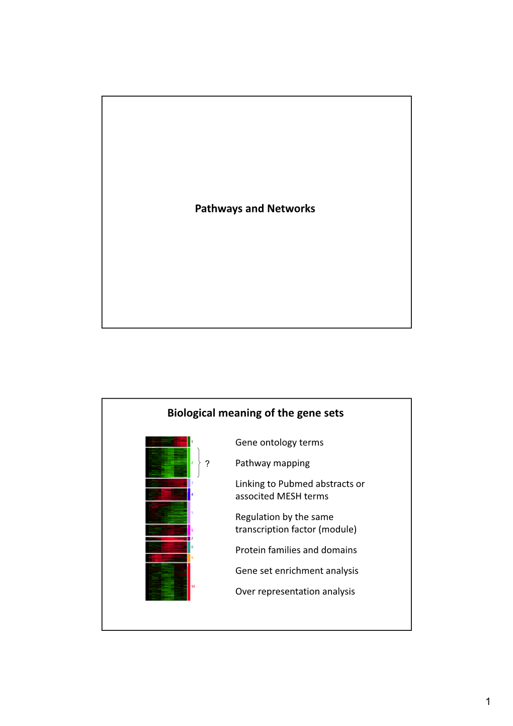 Pathways and Networks Biological Meaning of the Gene Sets