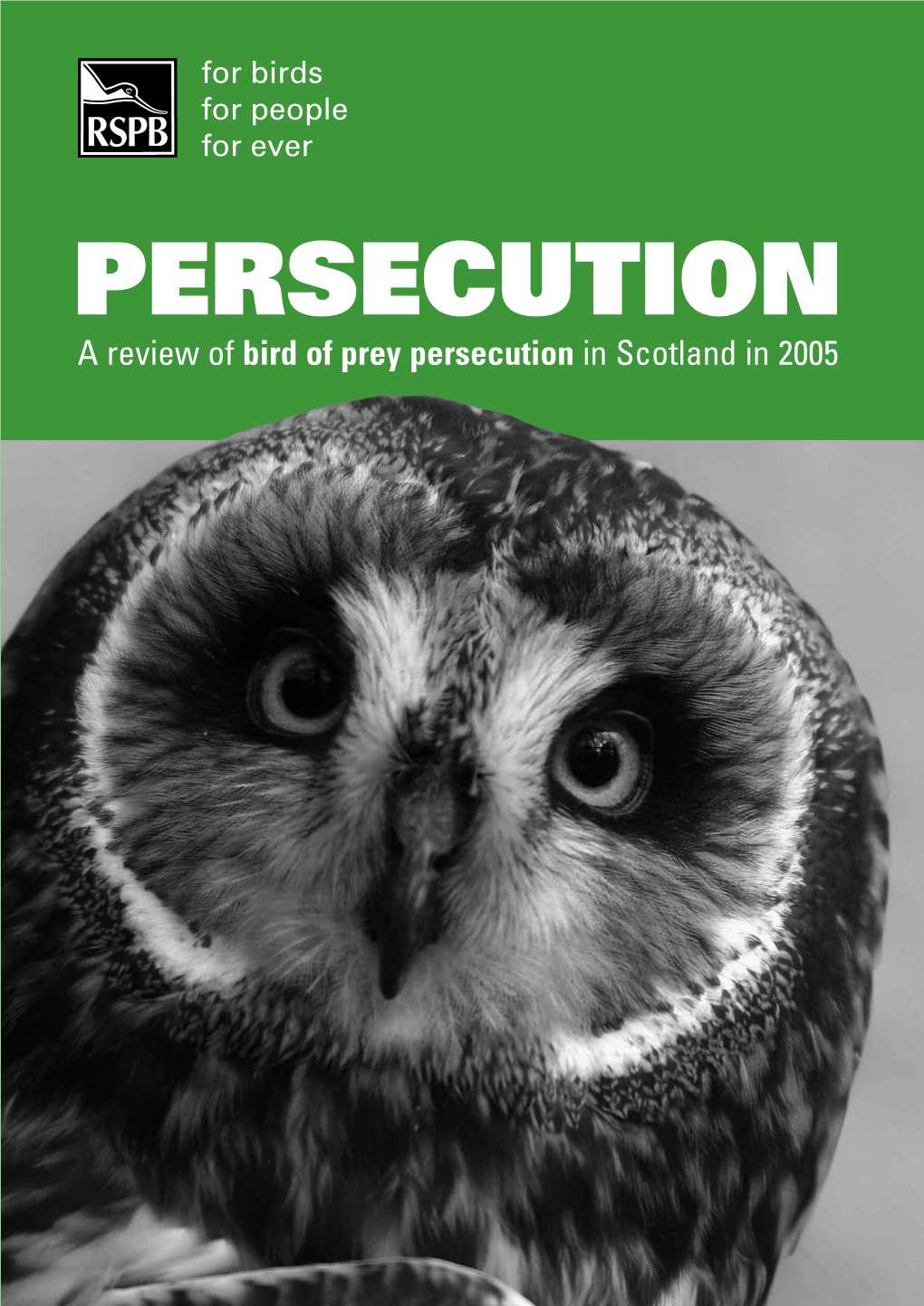 Persecution 2005