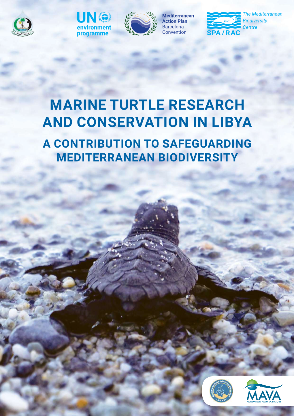 Marine Turtle Research and Conservation in Libya