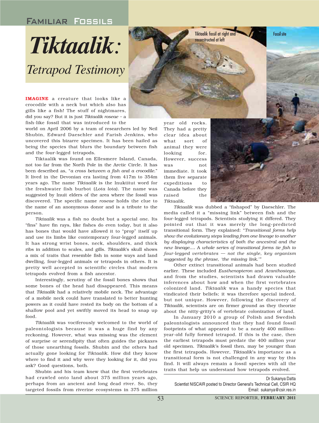 Tiktaalik: Reconstructed at Left Tetrapod Testimony