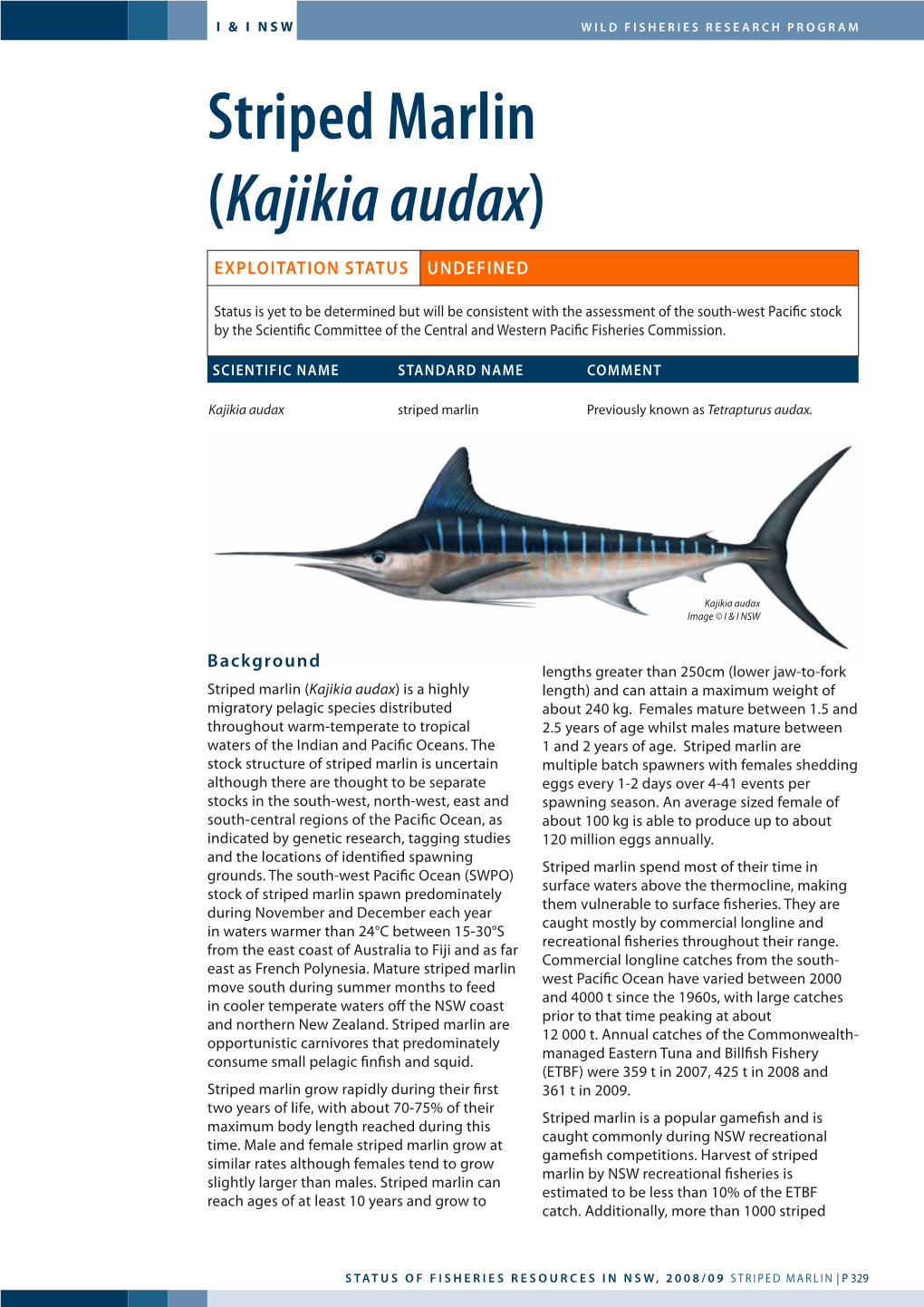 Striped Marlin (Kajikia Audax)