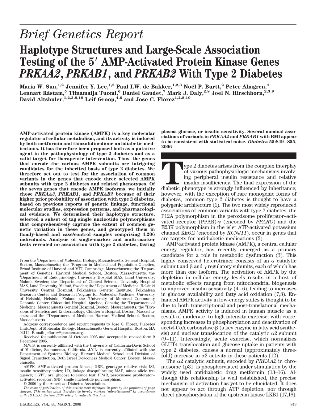 Brief Genetics Report Haplotype Structures and Large