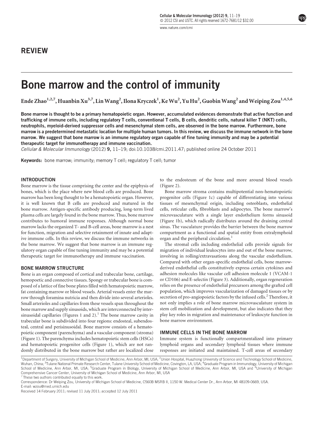 Bone Marrow and the Control of Immunity