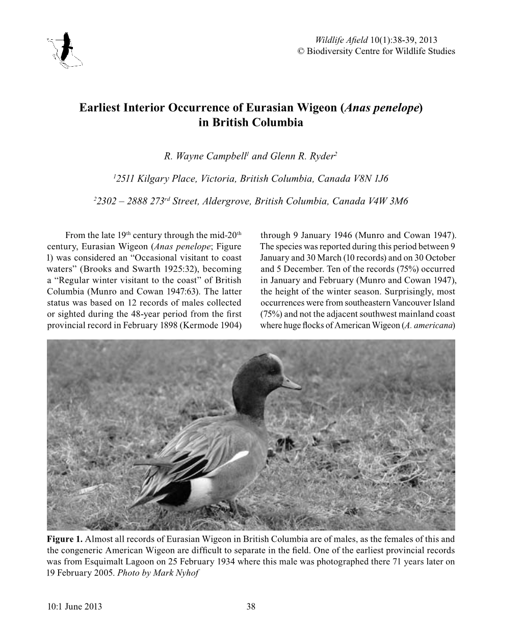 Earliest Interior Occurrence of Eurasian Wigeon (Anas Penelope) in British Columbia