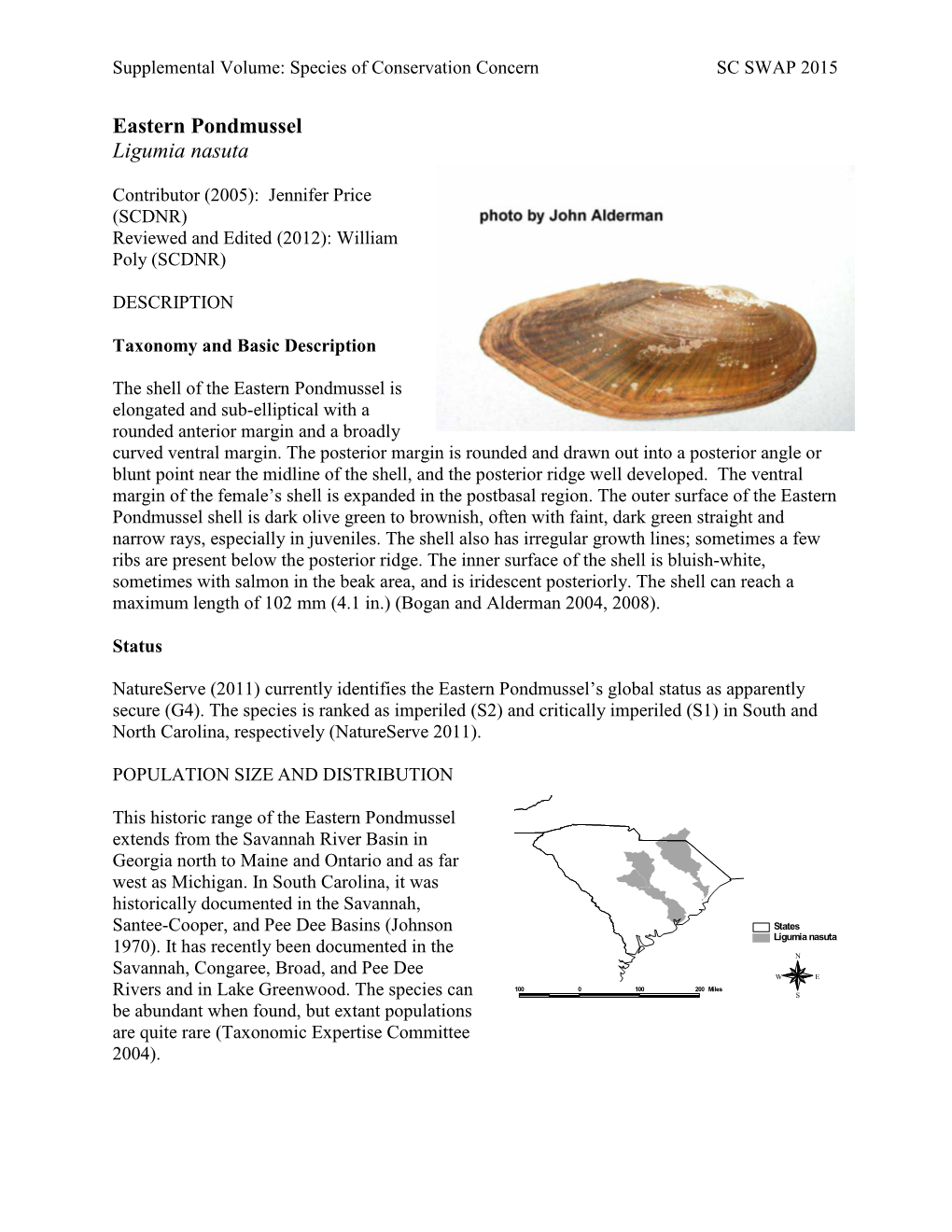 Eastern Pondmussel (Ligumia Nasuta)