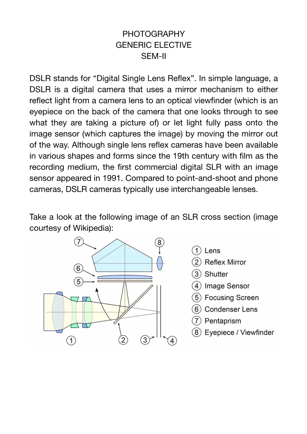 “Digital Single Lens Reflex”