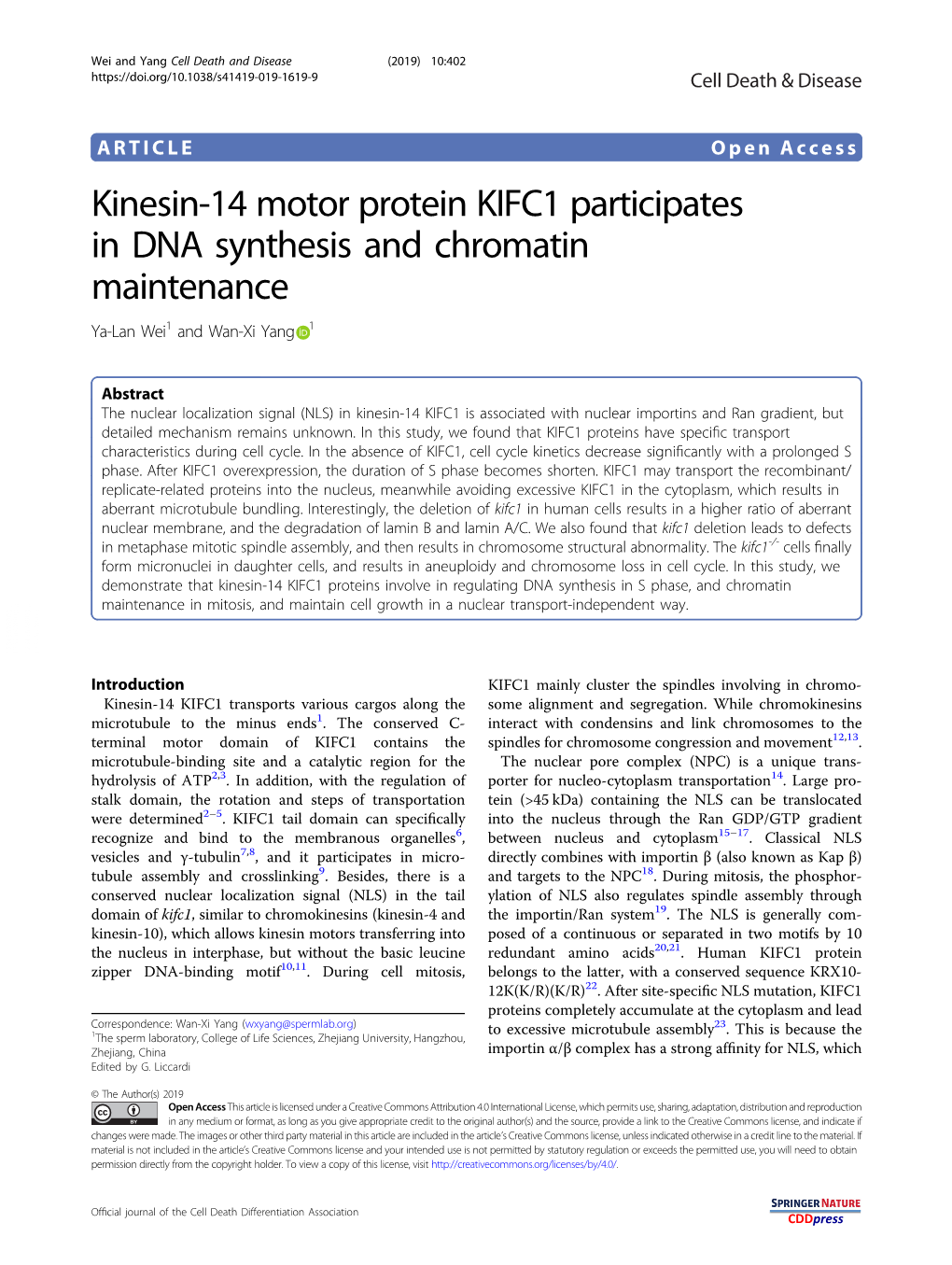 Kinesin-14 Motor Protein KIFC1 Participates in DNA Synthesis and Chromatin Maintenance Ya-Lan Wei1 and Wan-Xi Yang 1