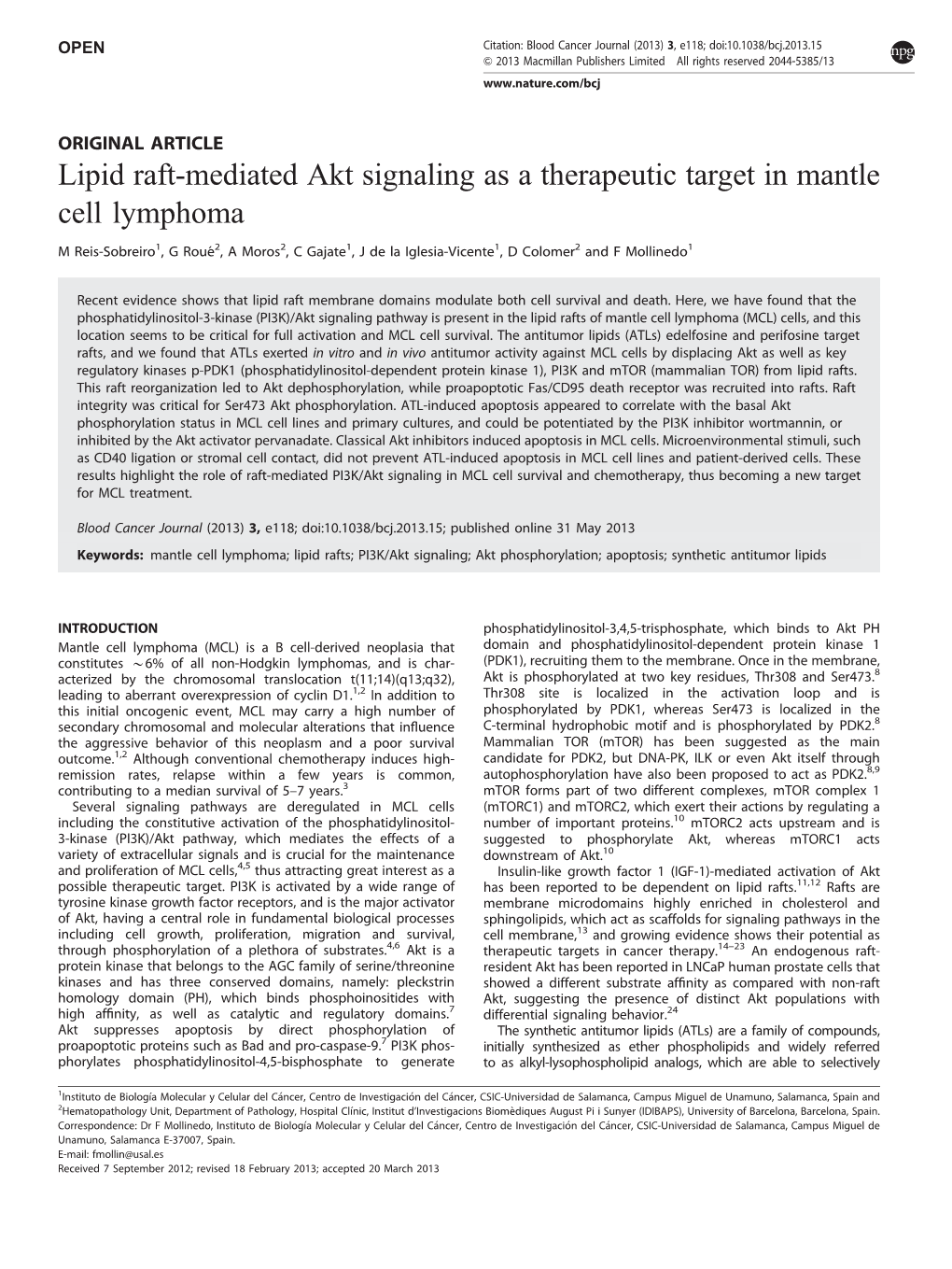 Lipid Raft-Mediated Akt Signaling As a Therapeutic Target in Mantle Cell Lymphoma