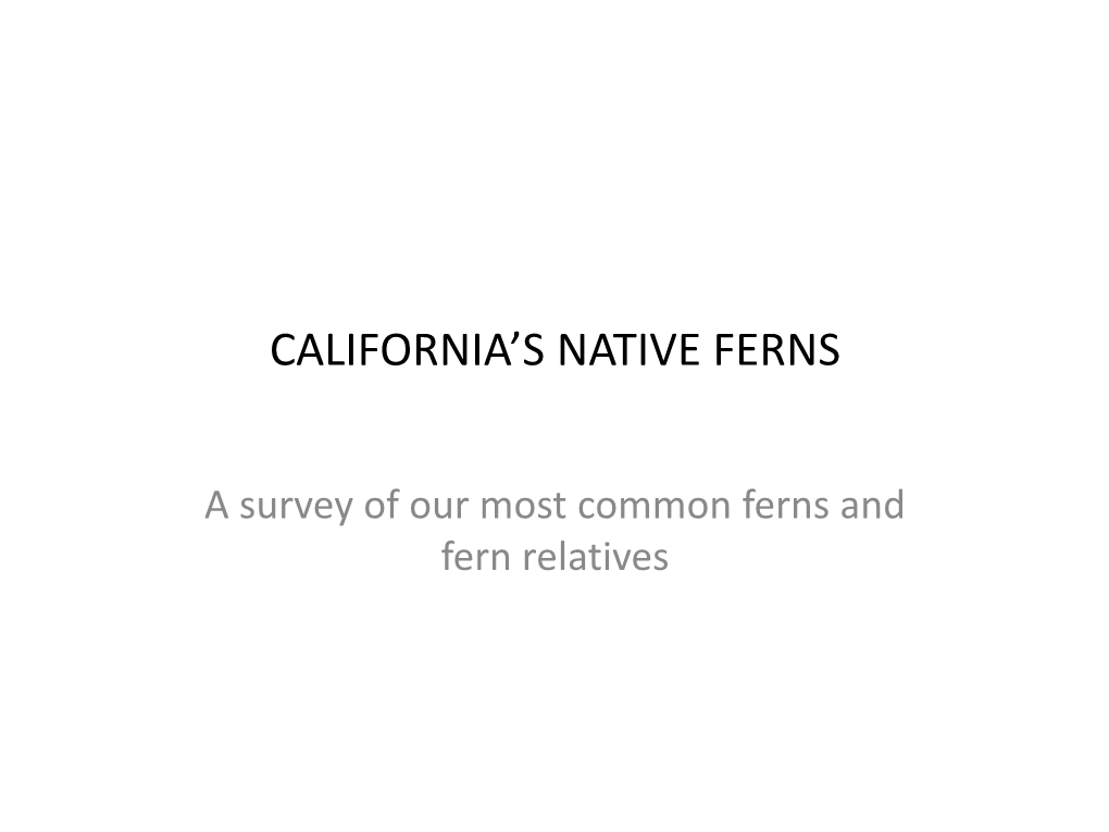 California's Native Ferns