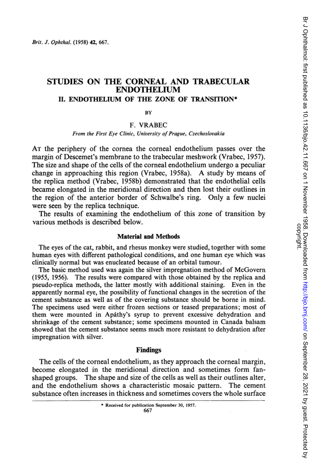 Endothelium Ii