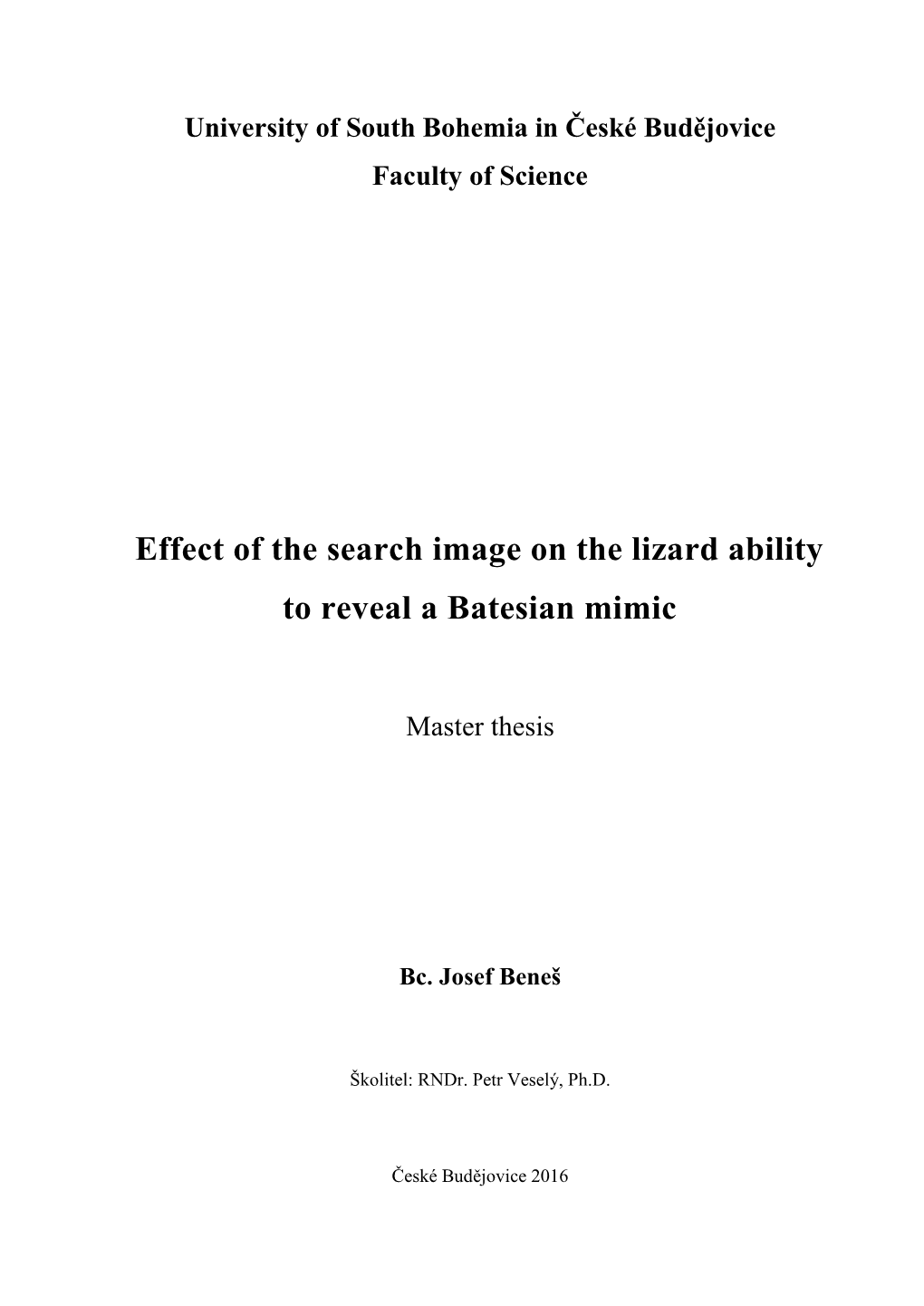 Effect of the Search Image on the Lizard Ability to Reveal a Batesian Mimic