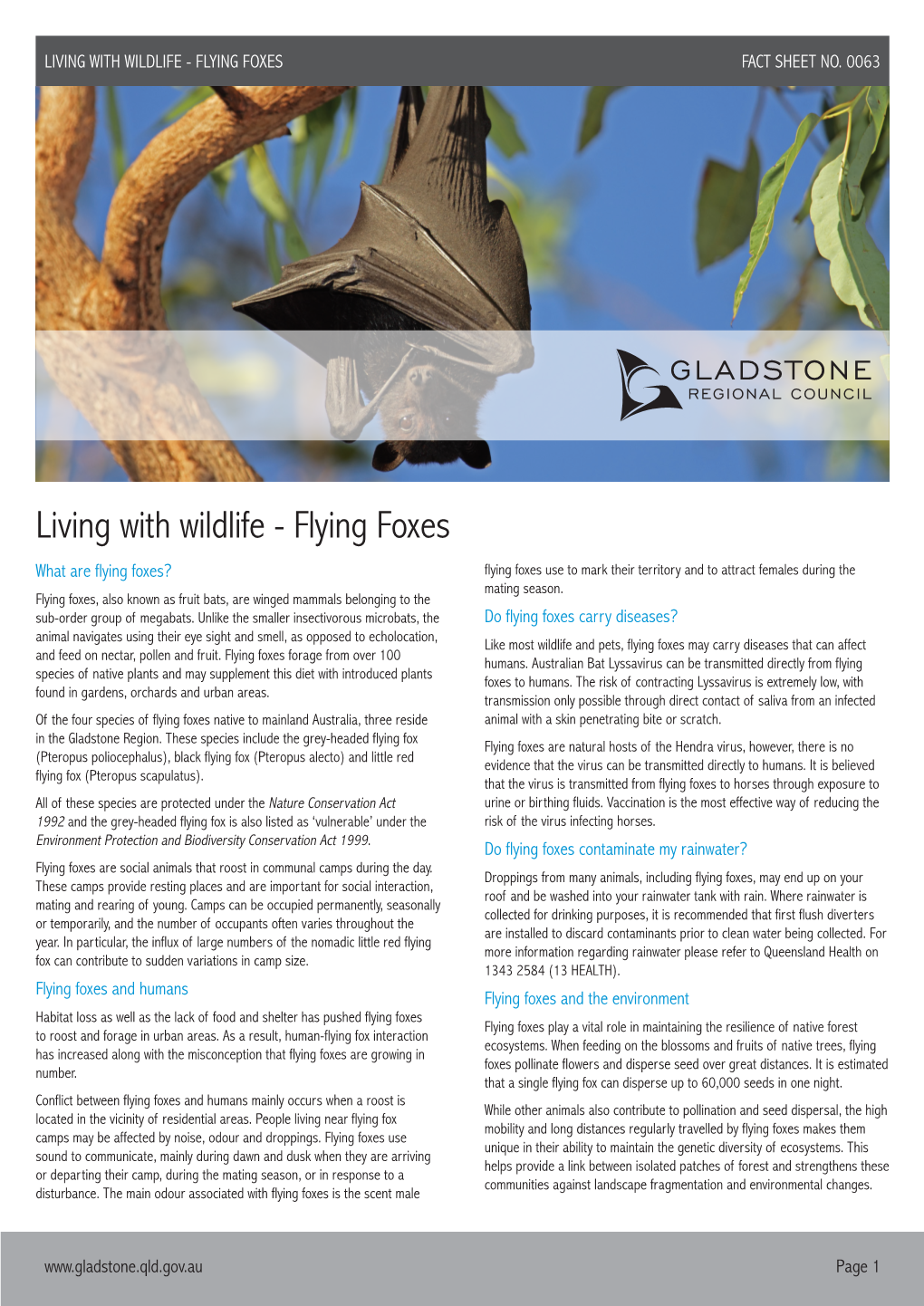 Living with Wildlife - Flying Foxes Fact Sheet No