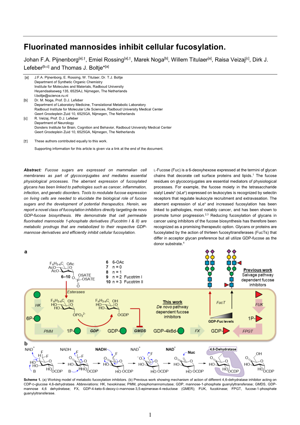 Fluorinated Mannosides Inhibit Cellular Fucosylation