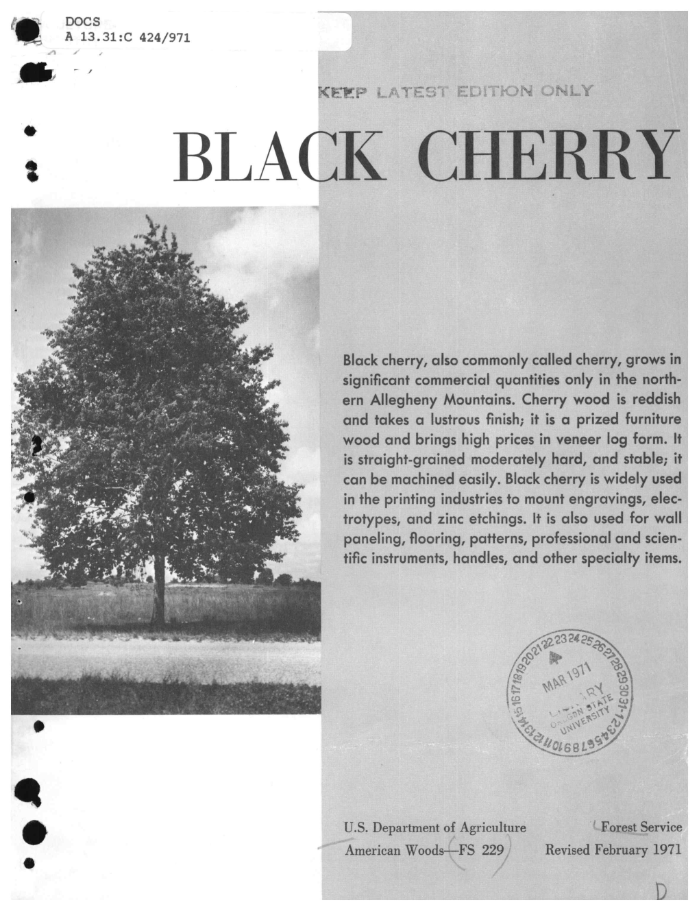 Black Cherry (Prunus Serotina Ehrh.)