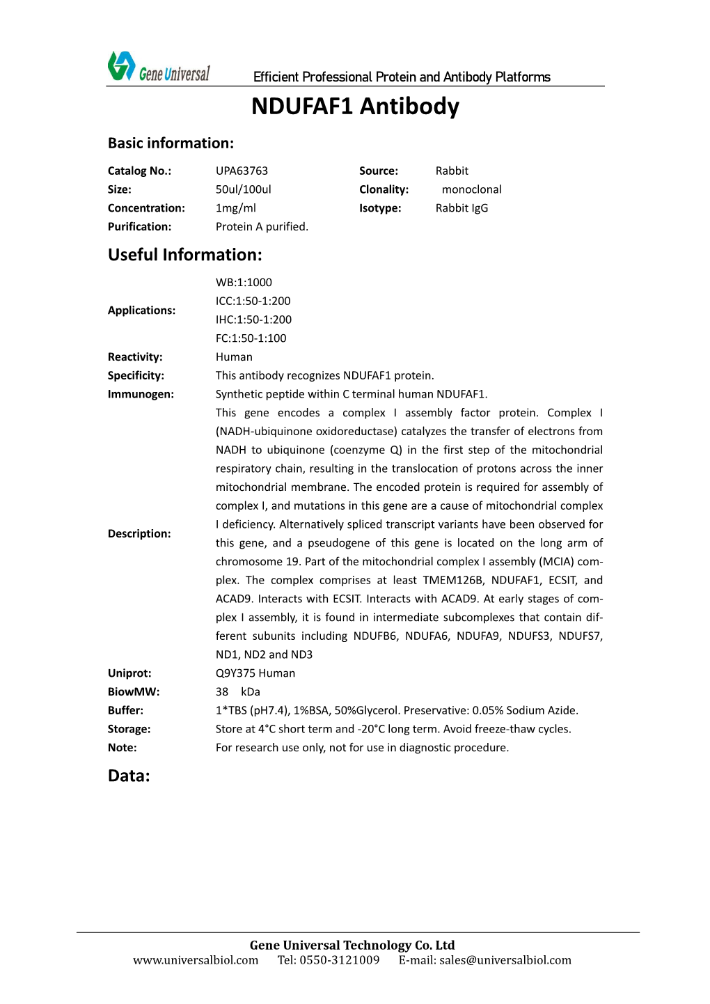 NDUFAF1 Antibody