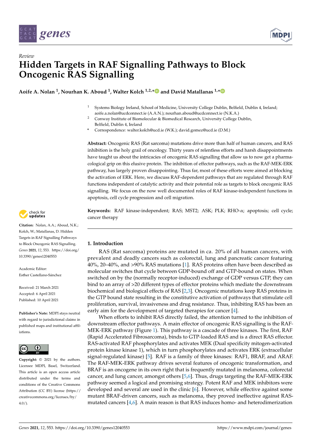 Hidden Targets in RAF Signalling Pathways to Block Oncogenic RAS Signalling