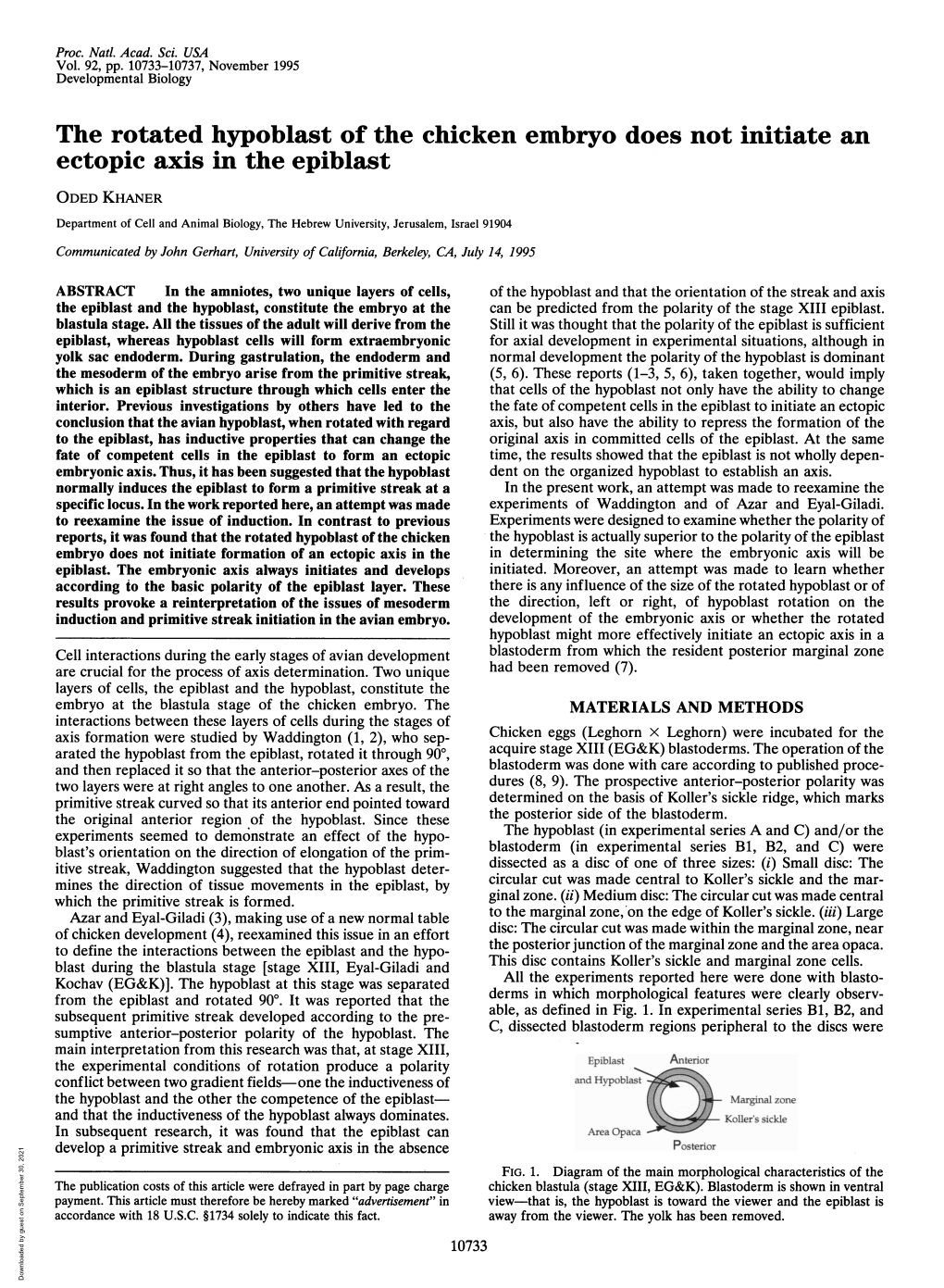 The Rotated Hypoblast of the Chicken Embryo Does Not Initiate an Ectopic Axis in the Epiblast